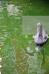欠網(wǎng)貸沒還會被拉入失信人名單嗎-欠網(wǎng)貸沒還會被拉入失信人名單嗎知乎
