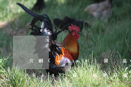 欠網(wǎng)貸沒還給我寄快遞(網(wǎng)貸沒還郵政寄來郵件)