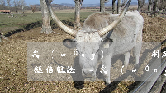 欠網(wǎng)貸沒還給朋友發(fā)短信犯法嗎-欠網(wǎng)貸沒還給朋友發(fā)短信犯法嗎怎么處理