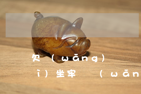 欠網(wǎng)貸沒還被起訴了會(huì)坐牢嗎（網(wǎng)貸未還遭起訴）