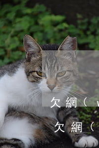 欠網(wǎng)貸沒還還能在貸嗎(有沒有欠網(wǎng)貸沒還的)