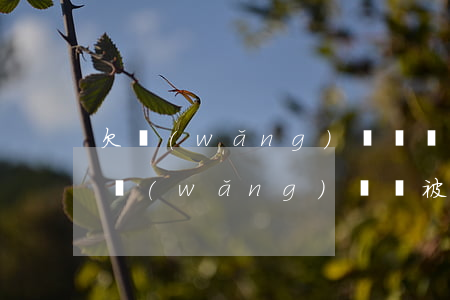 欠網(wǎng)貸沒錢還上門催收(沒有欠網(wǎng)貸卻被催收)