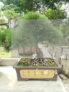 欠網(wǎng)貸沒錢還可以自首嗎(欠網(wǎng)貸沒錢還可以自首嗎)