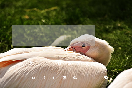 欠網(wǎng)貸沒錢還告訴父母會(huì)怎么樣-欠網(wǎng)貸沒錢還告訴父母會(huì)怎么樣呢