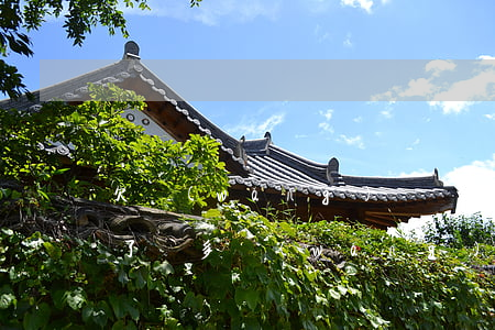 欠網(wǎng)貸沒錢還怎么可以抵債(欠了許多網(wǎng)貸無法償還)