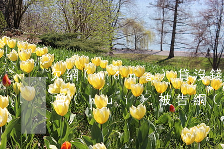 欠網(wǎng)貸沒錢還會(huì)不會(huì)被告(網(wǎng)貸欠錢被起訴了確實(shí)沒有錢還怎么辦)