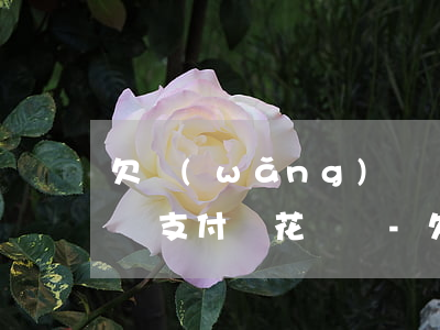 欠網(wǎng)貸沒錢還會(huì)影響支付寶花唄嗎-欠網(wǎng)貸沒錢還會(huì)影響支付寶花唄嗎