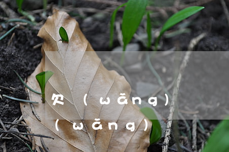 欠網(wǎng)貸沒錢還會不會坐牢(欠網(wǎng)貸沒還會坐牢嗎)