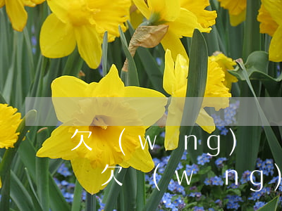 欠網(wǎng)貸沒錢還會從工資卡里扣嗎(欠網(wǎng)貸的錢沒還會從銀行卡里扣走么)