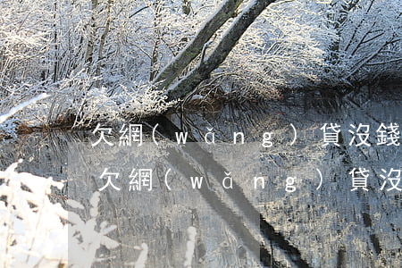 欠網(wǎng)貸沒錢還會被法院拘傳嗎(欠網(wǎng)貸沒錢還會被法院拘傳嗎)