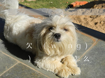 欠網(wǎng)貸沒錢還(欠網(wǎng)貸沒錢還怎么辦)