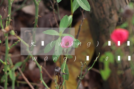 欠網(wǎng)貸沒錢還自首量刑(欠網(wǎng)貸10萬無力償還坐牢)