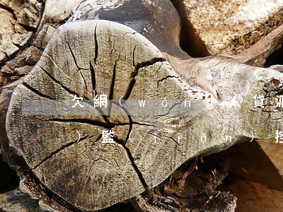 欠網(wǎng)貸派出所來調(diào)監(jiān)控是怎么回事-欠網(wǎng)貸派出所來調(diào)監(jiān)控是怎么回事啊