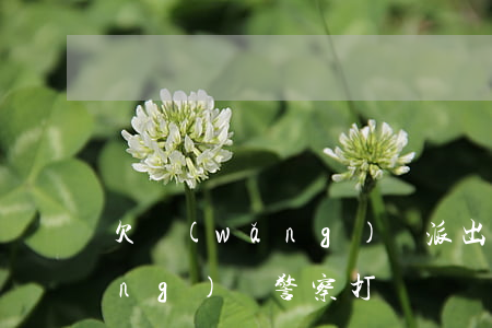 欠網(wǎng)貸派出所來電(欠網(wǎng)貸警察打電話讓我去派出所)