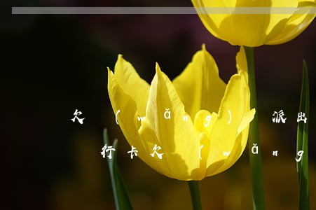 欠網(wǎng)貸派出所凍結(jié)銀行卡(欠網(wǎng)貸銀行卡被凍結(jié)了怎么辦)