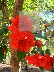 欠網(wǎng)貸派出所會(huì)管嗎(欠了網(wǎng)貸派出所會(huì)知道嗎)