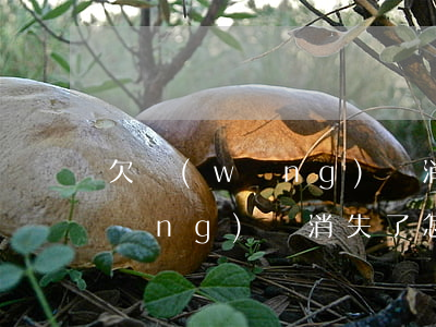 欠網(wǎng)貸消失了怎么找(欠網(wǎng)貸消失了怎么找)