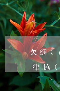 欠網(wǎng)貸深圳律所起訴(起訴深圳律協(xié))