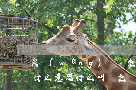 欠網(wǎng)貸減免結(jié)清是什么意思(什么叫減免結(jié)清)