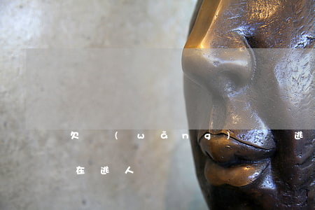 欠網(wǎng)貸潛逃(網(wǎng)貸在逃人員)