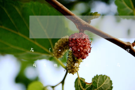 欠網(wǎng)貸為什么會(huì)扣我其他銀行的錢-欠網(wǎng)貸為什么會(huì)扣我其他銀行的錢呢