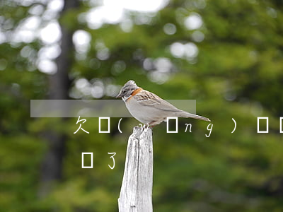欠網(wǎng)貸無(wú)力償還快崩潰了