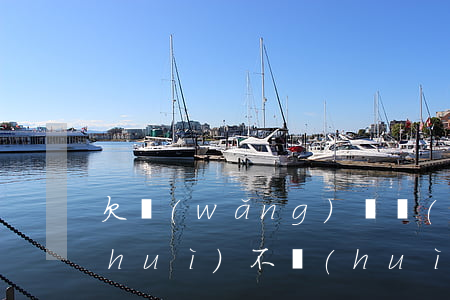 欠網(wǎng)貸無(wú)力償還會(huì)不會(huì)交不了社保(欠了好多網(wǎng)貸要不要買(mǎi)社保)