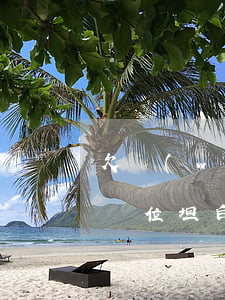 欠網(wǎng)貸無(wú)力償還要跟單位坦白嗎-欠網(wǎng)貸無(wú)力償還怎么跟家人坦白