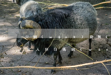 欠網(wǎng)貸無(wú)力償還要跟家人坦白嗎(網(wǎng)貸坦白后家人無(wú)力承擔(dān))