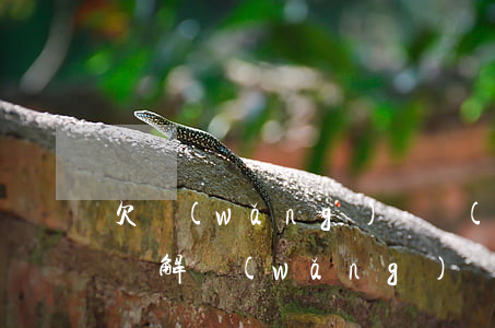 欠網(wǎng)貸無(wú)力償還視頻講解(網(wǎng)貸無(wú)力償還法院會(huì)怎么判)