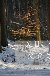 欠網(wǎng)貸無(wú)力償還連累父母(欠網(wǎng)貸會(huì)不會(huì)連累家人)