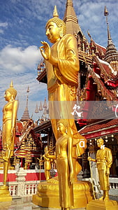 欠網(wǎng)貸無(wú)力承擔(dān)(欠了網(wǎng)貸 無(wú)力償還)