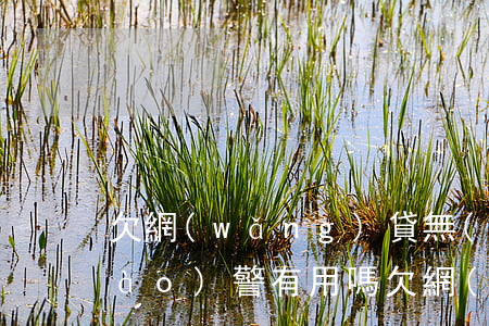 欠網(wǎng)貸無(wú)法還報(bào)警有用嗎(欠網(wǎng)貸報(bào)警警察會(huì)怎么處理)