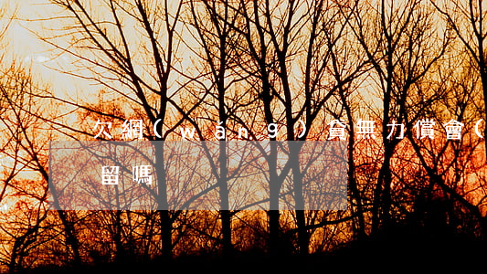 欠網(wǎng)貸無力償會(huì)拘留嗎