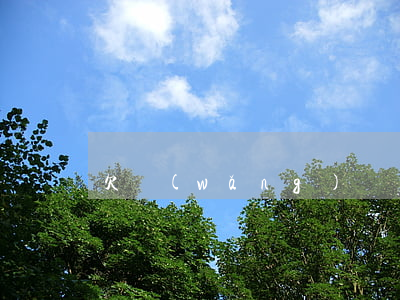 欠網(wǎng)貸無力償還但是有房