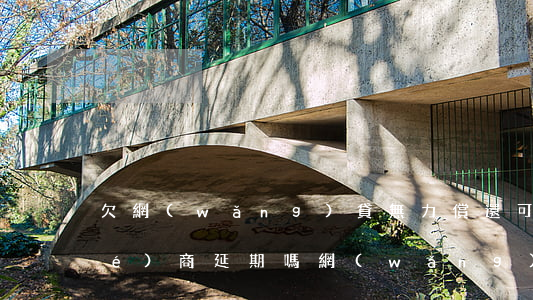 欠網(wǎng)貸無力償還可以協(xié)商延期嗎(網(wǎng)貸無力償還可以協(xié)商終止利息嗎?)
