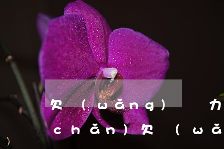 欠網(wǎng)貸無力償還名下沒資產(chǎn)(欠網(wǎng)貸無力償還名下沒資產(chǎn))