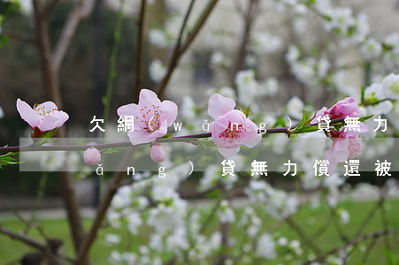 欠網(wǎng)貸無力償還哭泣(欠網(wǎng)貸無力償還被起訴了怎么辦)