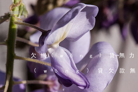 欠網(wǎng)貸無力償還對不起妻兒(網(wǎng)貸欠款無力償還怎么辦)
