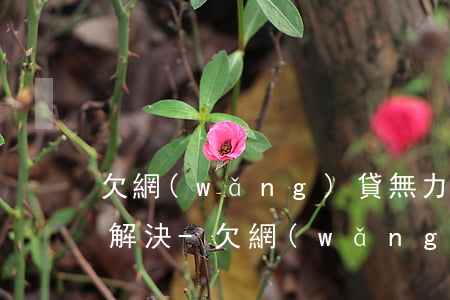 欠網(wǎng)貸無力償還怎么找第三方解決-欠網(wǎng)貸無力償還怎么找第三方解決呢