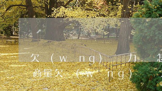 欠網(wǎng)貸無力償還怎么處理不給商量(欠網(wǎng)貸無力償還怎么處理不給商量)