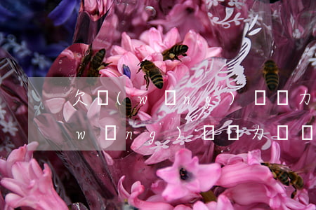 欠網(wǎng)貸無力償還 怎么辦(欠網(wǎng)貸無力償還 怎么辦)