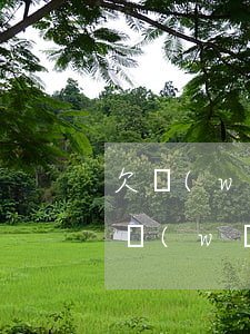欠網(wǎng)貸無力償還打算跟家人說(網(wǎng)貸無力償還家人不愿意幫助)