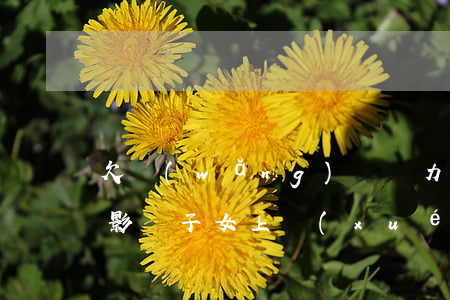 欠網(wǎng)貸無力償還會(huì)影響子女上學(xué)嗎(欠網(wǎng)貸會(huì)不會(huì)影響孩子上學(xué))