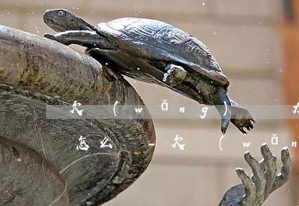 欠網(wǎng)貸無力償還會(huì)怎么樣-欠網(wǎng)貸無力償還會(huì)怎么樣呢