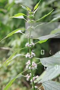 欠網(wǎng)貸無力償還會(huì)被凍結(jié)銀行卡嗎(欠網(wǎng)貸是否會(huì)凍結(jié)銀行卡)