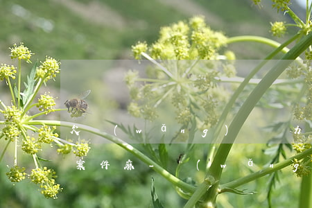 欠網(wǎng)貸無力償還會升級成刑事案件麻-網(wǎng)貸無力償還會坐牢嗎?