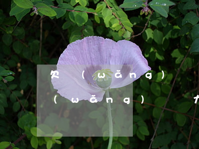 欠網(wǎng)貸無力償還會如何-欠網(wǎng)貸無力償還了怎么辦