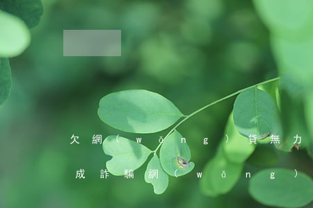 欠網(wǎng)貸無力償還構(gòu)成詐騙(網(wǎng)絡(luò)詐騙網(wǎng)貸無力還款怎么辦)