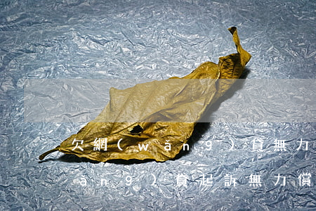 欠網(wǎng)貸無力償還法院判(網(wǎng)貸起訴無力償還)
